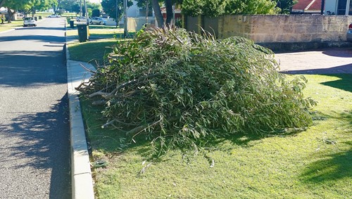 Upcoming Green Waste Verge Collection Change of Date - Week Commencing