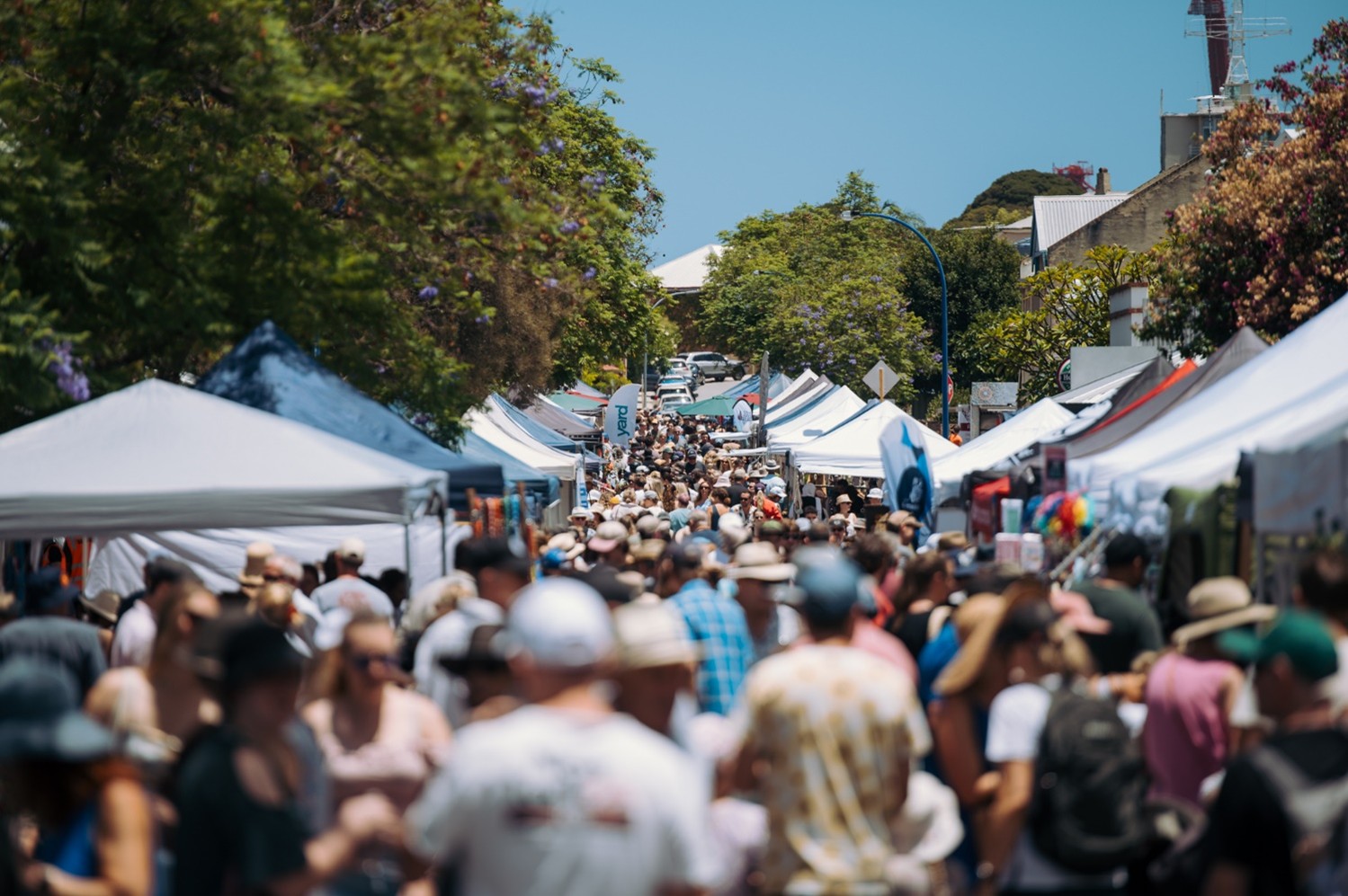 East Fremantle's George Street Festival on pause for 2025