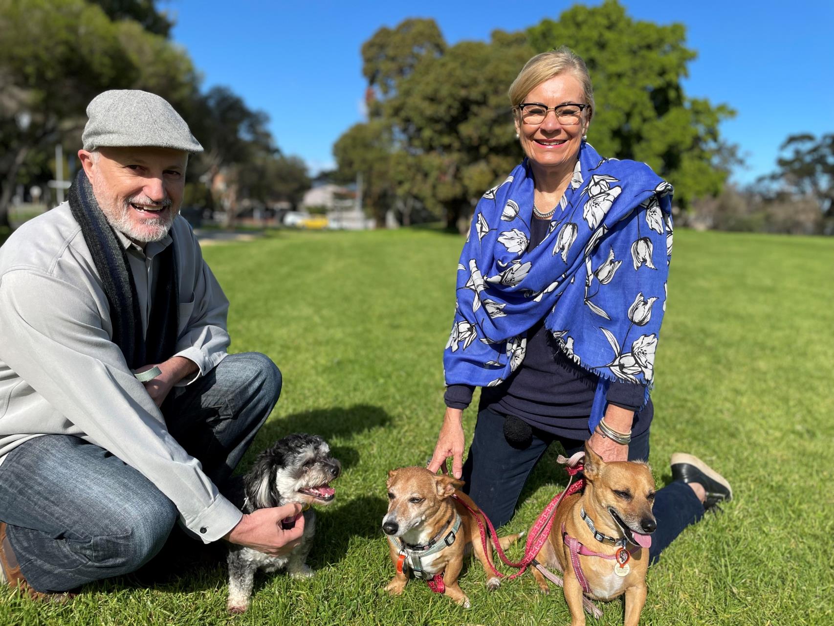 Paws in the Park: Dog Exercise Area now open